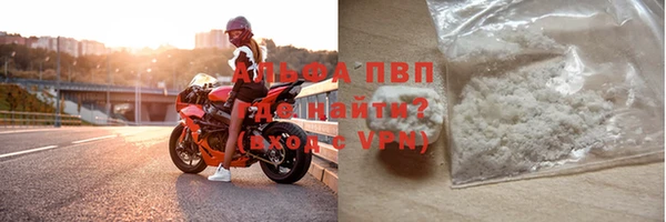 прущие грибы Богданович