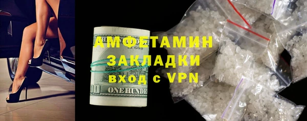прущие грибы Богданович