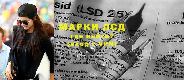 прущие грибы Богданович