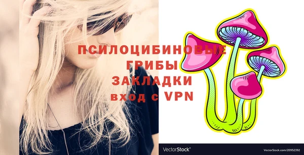 гашик Баксан