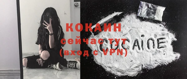 прущие грибы Богданович
