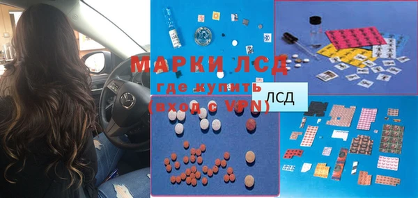 прущие грибы Богданович