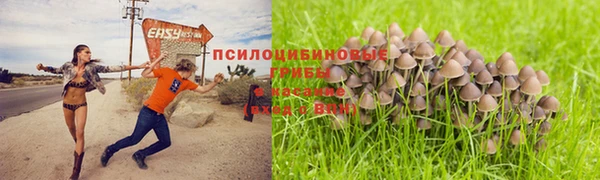 хмурый Балахна