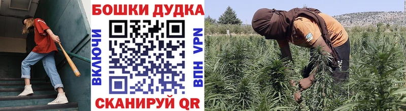 Бошки Шишки White Widow  дарк нет официальный сайт  Вельск 